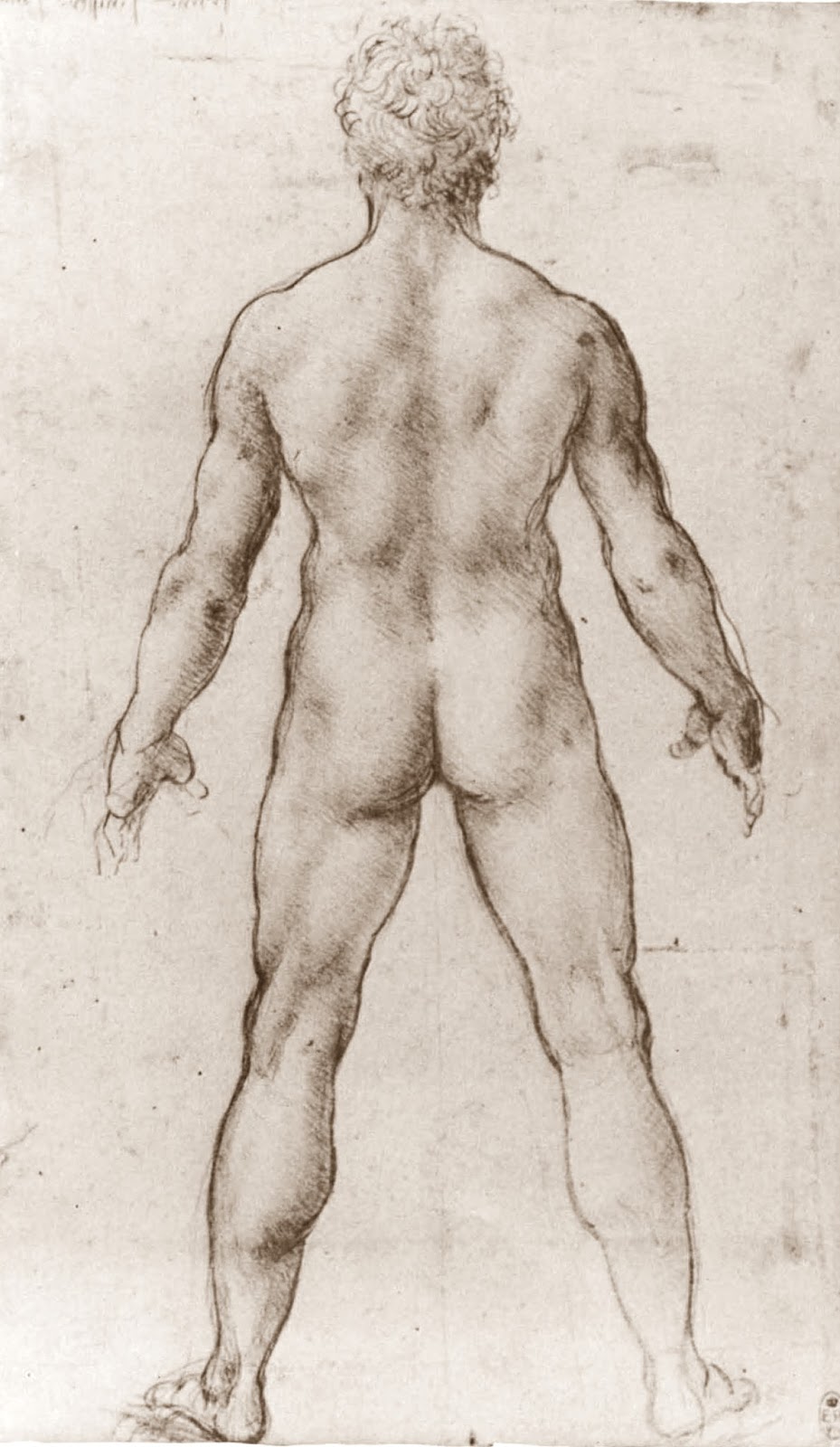 Leonardo+da+Vinci-1452-1519 (829).jpg